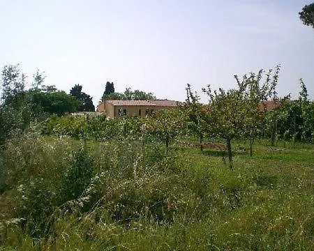 No,5 Apartment Cecina (Livorno)