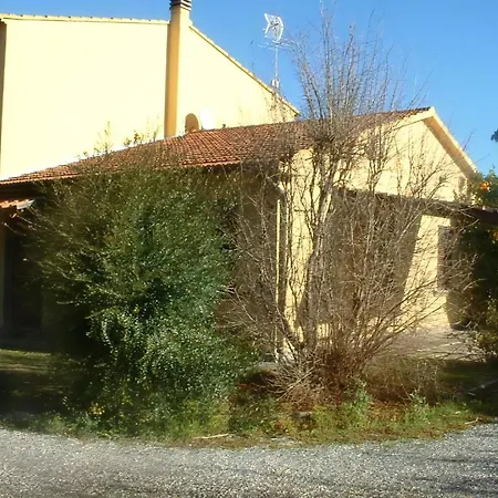 Apartment No,5