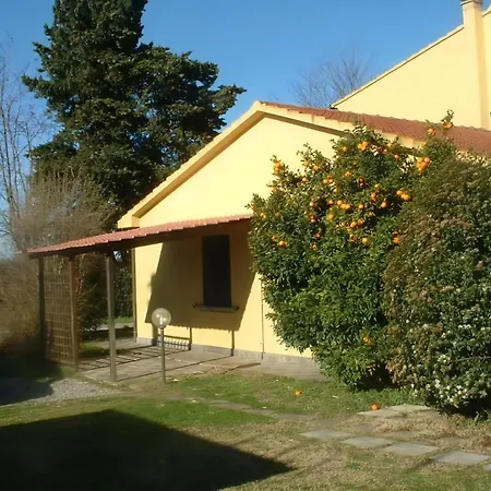 No,5 Apartment Cecina (Livorno)